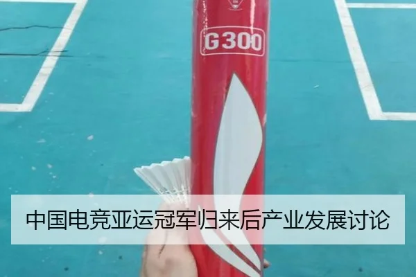 中国电竞亚运冠军归来后产业发展讨论